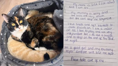 ഒരുപാട് ഇഷ്ടമാണ്, പക്ഷേ വേറെ വഴിയില്ല, ഉപേക്ഷിക്കപ്പെട്ട പൂച്ചയ്ക്കൊപ്പം ഉടമയെഴുതിയ വൈകാരികമായ കുറിപ്പ്