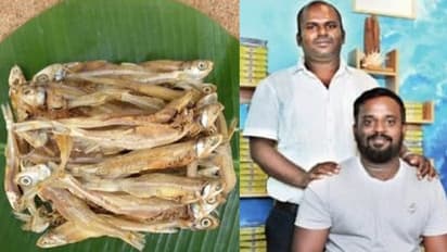 Startups: ஐடி வேலையை விட்டு, கருவாடு விற்பனையில் கலக்கும் நண்பர்கள்