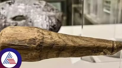 6.3 ಇಂಚಿನ ಮರದ ದೊಣ್ಣೆ, 2000 ವರ್ಷಗಳ ಹಿಂದೆಯೇ ಬಳಕೆಯಲ್ಲಿತ್ತಾ ಸೆಕ್ಸ್ ಟಾಯ್?