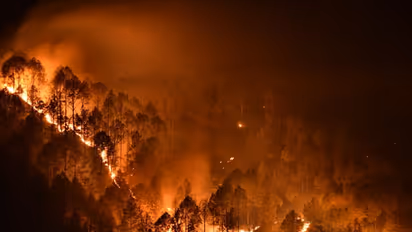 ഏഥൻസിൽ കാട്ടുതീ പടരുന്നു, മാറ്റിപ്പാർപ്പിച്ചത് ആയിരങ്ങളെ, കൊടും ചൂടിൽ സഹായമെത്തിക്കാൻ യൂറോപ്യൻ രാജ്യങ്ങൾ