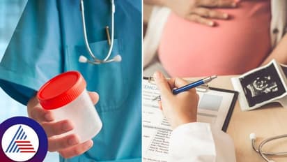 விந்தணு தானம் செய்யக்கூடாது.. 550 குழந்தைகளுக்கு தந்தையாக இருக்கும் நபருக்கு நீதிமன்றம் தடை..