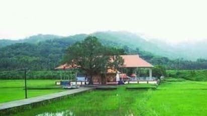 സുരക്ഷ ഉറപ്പാക്കുമെന്ന് ആഘോഷക്കമ്മിറ്റിയുടെ ഉറപ്പ്; ഉത്രാളിക്കാവിൽ വെടിക്കെട്ടിന് അനുമതി