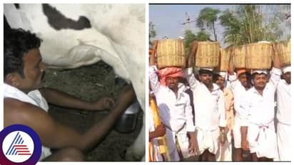 Chitradurga: ಟಗರನಹಟ್ಟಿ ಗ್ರಾಮದಲ್ಲಿ ಬುಡಕಟ್ಟು ಸಮುದಾಯದ ಸಾಂಪ್ರದಾಯಿಕ ಹಬ್ಬ, ಹೊರಗಿನವರಿಗೆ ನೋ ಎಂಟ್ರಿ!