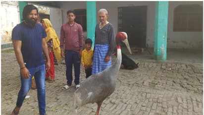 മുപ്പതുകാരന്‍റെ ഉറ്റ ചങ്ങാതി ദേശാടന പക്ഷി; ഊണും ഉറക്കവും യാത്രയുമെല്ലാം ഈ പക്ഷിക്കൊപ്പം !
