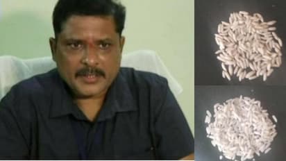 ಅನ್ನಭಾಗ್ಯ ಯೋಜನೆಗೂ ಸಾರವರ್ಧಿತ ಅಕ್ಕಿ ಮಿಶ್ರಣ: 1 ಚೀಲಕ್ಕೆ 500 ಗ್ರಾಂ ಬಳಕೆ