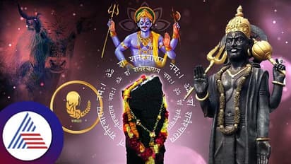 Shani Uday 2023: ಛಾಯಾಪುತ್ರ ಶನಿಯ ಉದಯದಿಂದ ಈ ರಾಶಿಗಳಿಗೆ ಪೀಕಲಾಟ