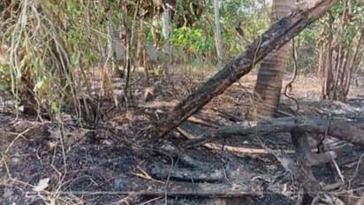 വർക്കലയിൽ തീയണക്കാനെത്തിയ ഫയർഫോഴ്സ് ജീവനക്കാരൻ കണ്ടത് പൊള്ളലേറ്റ് കിടക്കുന്ന അച്ഛനെ