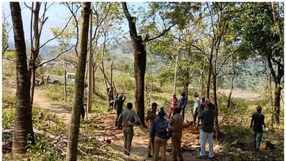 സുരക്ഷാഭീഷണി; സ്വകാര്യഭൂമിയിൽ നിന്ന് ചന്ദനമരം പിഴുത് മാറ്റി, മൂല്യം ഒന്നരക്കോടി
