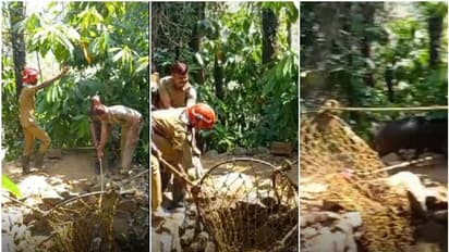 കോട്ടയത്തെ കിണറ്റിൽ നിന്ന് ശബ്ദം, വീട്ടുകാർ നോക്കിയപ്പോൾ കാട്ടുപന്നി; ഫയർഫോഴ്സ് എത്തി രക്ഷിക്കവെ ആക്രമണം