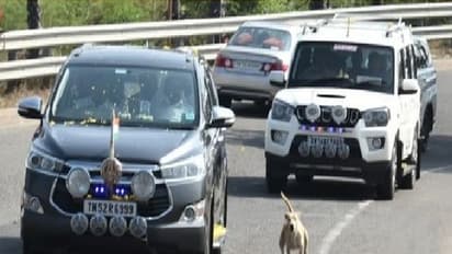 அடேங்கப்பா இவ்வளவு வேகமா? எடப்பாடி பழனிசாமியின் காரை விடாமல் துரத்தும் நாய்!!