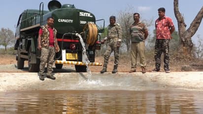 മുതുമല വനം വരള്ച്ചയുടെ പിടിയില്; കാട്ടിനുള്ളിലെ കൃത്രിമ ജലസംഭരണികള് നിറച്ച് വനംവകുപ്പ്