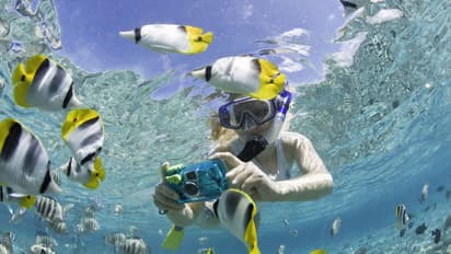 ಸ್ಕೂಬಾ ಡೈವಿಂಗ್‌ಗೆ ಭಾರತದ 7 ಅತ್ಯುತ್ತಮ ತಾಣಗಳು! ನಮ್ಮ ರಾಜ್ಯದಲ್ಲೇ ಇದೆ ಬೆಸ್ಟ್ ಸ್ಕೂಬ್ ಡೈವಿಂಗ್