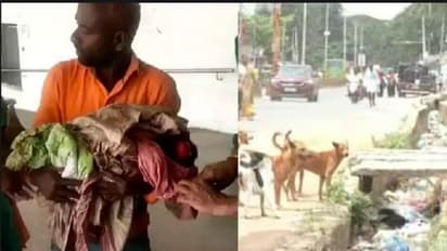 ನಾಯಿ ದಾಳಿಯಿಂದ ಗಂಭೀರವಾಗಿ ಗಾಯಗೊಂಡಿದ್ದ ಮಗು ಸಾವು