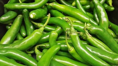 വറുത്ത മുളകിന്റെ മണം ഔദ്യോഗിക മണമാക്കാൻ ന്യൂ മെക്സിക്കോ