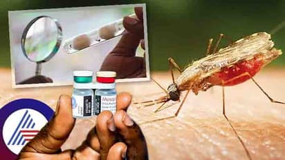 Malaria New Antifungal Drug: ಮಲೇರಿಯಾಕ್ಕೆ ಬಂತು ಹೊಸ ಔಷಧ, ಇನ್ನಾದ್ರೂ ಮಲೇರಿಯಾ ಕಾಟ ಕಡಿಮೆ ಆಗ್ಬೋದಾ?