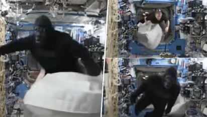 Astronaut sports Gorilla suit on ISS to prank crew member; watch old viral video