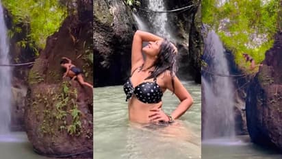 കൂറ്റൻ പാറയിൽ അള്ളിപ്പിടിച്ചു കയറി, ഒറ്റച്ചാട്ടം; അമല പോളിന്റെ വീഡിയോ വൈറൽ