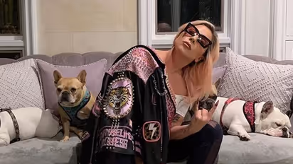 'Poker Face' singer Lady Gaga sued for not giving $500k reward to dog thief; details here