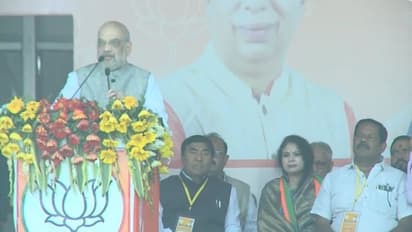 ప్రధాని అయ్యేందుకే బీహార్ సీఎం నితీష్ కుమార్ కాంగ్రెస్, ఆర్జేడీతో చేతులు కలిపారు - అమిత్ షా