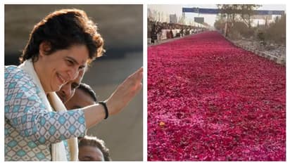 ആറായിരം കിലോ​ റോസാപ്പൂക്കൾ; പ്രിയങ്കക്ക് ഊഷ്മള വരവേൽപ്പ്