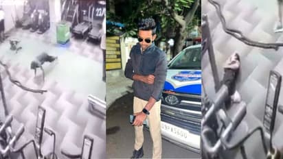 Explained: உடற்பயிற்சி செய்யும்போதே நிகழும் மரணங்கள்.. மருத்துவர்கள் சொல்லும் பின்னணி என்ன? 