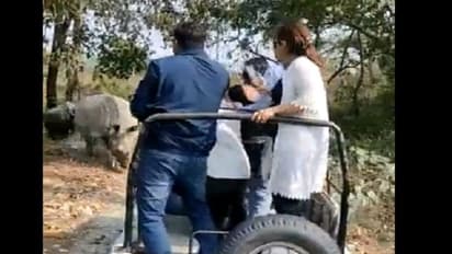 సఫారీ జీప్పై ఖడ్గమృగాల దాడి.. 7 గురు పర్యాటకులకు గాయాలు.. పశ్చిమ బెంగాల్లోని జల్దపరా నేషనల్ పార్క్లో ఘటన