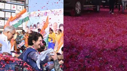  Priyanka Gandhi: பிரியங்காவுக்கு 6000 டன் ரோஜா இதழ்களால் ரோஸ் கார்பெட் வரவேற்பு!