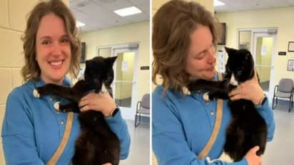 മൈക്രോചിപ്പ് തുണച്ചു, ഒമ്പത് വർഷങ്ങൾക്ക് മുമ്പ് കാണാതായ പൂച്ച തിരികെ ഉടമയുടെ അടുത്തേക്ക്