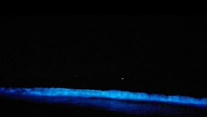 Bioluminescence  ಪ್ರಭಾವ, ರಾತ್ರಿಯಲ್ಲಿ ಅದ್ಭುತ ಲೋಕ ಸೃಷ್ಟಿಸುತ್ತೆ ಮಟ್ಟು ಬೀಚ್