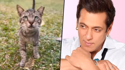 Salman Khan goes creative to announce much-awaited song Billi Billi from Kisi Ka Bhai Kisi Ki Jaan