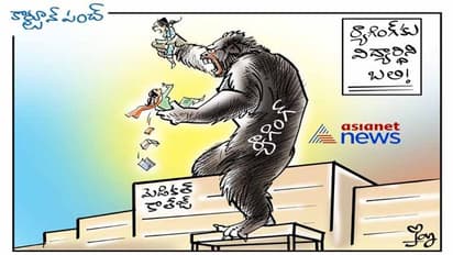 మెడికో ప్రీతి ఆత్మహత్య:  తెరపైకి  మెడికల్ కాలేజీలో  ర్యాగింగ్ అంశం