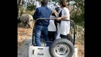 ജീപ്പിനടുത്തേക്ക് ഓടിയടുത്ത് കാണ്ടാമൃ​ഗങ്ങൾ, പേടിച്ചുവിറച്ച് സഞ്ചാരികൾ, ജീപ്പ് മറിഞ്ഞു, വൈറൽ വീഡിയോ