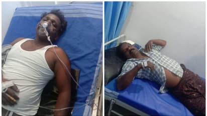 വയനാട്ടിൽ കടന്നല്‍ക്കൂട്ടത്തിന്റെ ആക്രമണം, പത്ത് പേര്‍ക്ക് പരിക്ക്; പന്നിയുടെ ആക്രമണവും ഉണ്ടായി