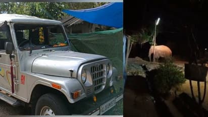 ഇടുക്കിയിൽ വീണ്ടും കാട്ടാന ആക്രമണം, ജീപ്പ് ആക്രമിച്ച് ചക്കക്കൊമ്പൻ; അരിക്കൊമ്പനെ ഉടൻ മയക്കു വെടിവെക്കും