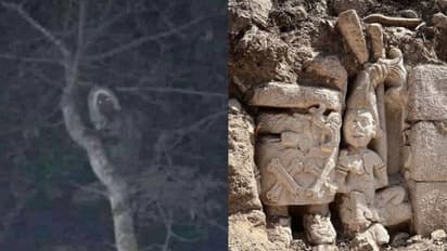 ദേ മരത്തിലൊരു ഭീകരസ്വത്വം, ഇത് അല്യൂക്സ് തന്നെ, വൈറലായി മെക്സിക്കൻ പ്രസിഡണ്ടിന്റെ ട്വീറ്റ്