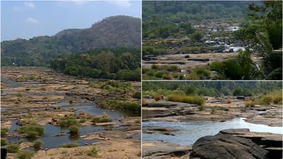 ചാലക്കുടിപ്പുഴത്തടത്തിലെ ജലക്ഷാമം നേരിടാന് നടപടി, കേരള ഷോളയാറില് നിന്നും വെള്ളം തുറന്നുവിടാന് നിര്ദ്ദേശം