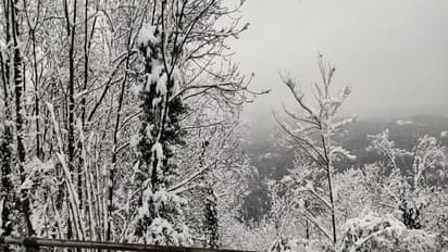 ಚುಮು ಚುಮು ಚಳಿಯಲ್ಲಿ, ಮಂಜಿನಡಿಯಲ್ಲಿ, ನಿಮಗೆ ಗೊತ್ತಿರದ ಇಟಲಿಯ ಟುರಿನ್ ಇದು!