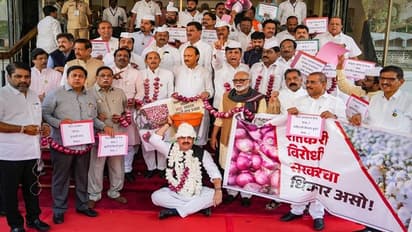 Maharashtra: Oppn leaders demand discussion over drop in onion prices, council adjourned for the day