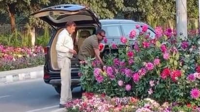 ജി 20 ഉച്ചകോടിക്കായി ഒരുക്കിയ പൂച്ചെടികൾ മോഷ്ടിച്ചു; മോഷ്ടാക്കൾ എത്തിയത് വിലയേറിയ കാറിൽ