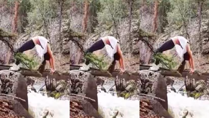 Viral video : 2017ல் வைரலான வீடியோ..! இப்போது மீண்டும் ட்ரெண்டிங் - என்ன காரணம் தெரியுமா.?