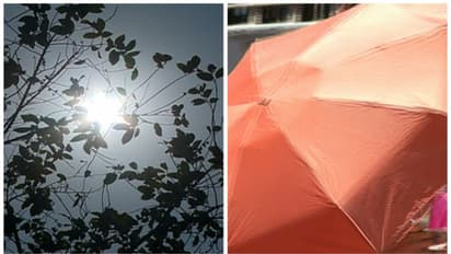 സംസ്ഥാനത്ത് ഇത്തവണ വേനൽ കനക്കില്ല; വേനൽമഴ ഇല്ലെങ്കിൽ ഉത്തരേന്ത്യയിലെ ഉഷ്ണതരംഗം കേരളത്തെയും ബാധിച്ചേക്കും