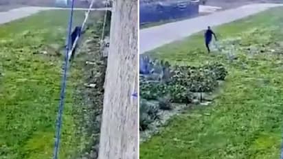 ബെഡ്‍ഷീറ്റ് കൂട്ടിക്കെട്ടി ജയിൽ ചാടുന്ന മാഫിയാ ബോസ്, വൈറലായി വീഡിയോ, ആശങ്കയിൽ ജനങ്ങൾ