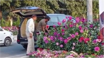G-20 Summit:அல்பம்!  ஜி-20 மாநாட்டுப் பூந்தொட்டிகளை ரூ.40 லட்சம் சொகுசு காரில் வந்து திருடியவர்கள் கைது