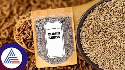 ತುಂಡು ಭೂಮಿ ಇದ್ದರೂ ಸಾಕು, ಈ ಬ್ಯೂಸಿನೆಸ್ ಶುರು ಮಾಡಬಹುದು ನೋಡಿ