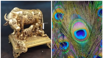 ఆర్థిక సమస్యలతో సతమతమవుతున్నారా... ఈ రెండు వస్తువులను ఇంటికి తెచ్చుకుంటే చాలు!