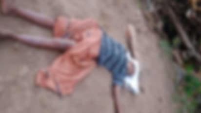 അട്ടപ്പാടിയിൽ ആദിവാസിയെ കല്ലുകൊണ്ട് ഇടിച്ച് കൊന്നു