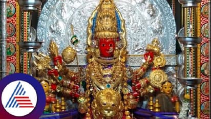 ಉತ್ತರ ಕನ್ನಡ:  ಮಳಗಿ ಮಾರಿಕಾಂಬಾ ದೇವಿಯ ಸಂಭ್ರಮದ ರಥೋತ್ಸವ