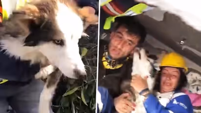 Miraculous! Siberian husky rescued from under Turkey earthquake rubble after 23 days - WATCH