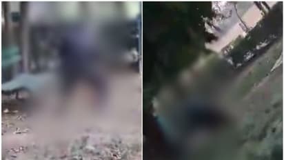 പാര്ക്കില് നായയെ കെട്ടിയിട്ട് ക്രൂരമായി ബലാത്സംഗം ചെയ്ത് യുവാവ്, എല്ലാം ക്യാമറയിൽ പതിഞ്ഞു, ഒടുവിൽ അറസ്റ്റ്