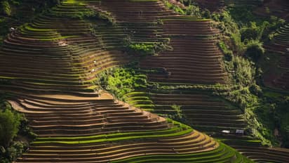 Road trips from India: சாலைகள் வழி பயணம்! அற்புத அனுபவத்தைக் கொடுக்கும் சுற்றுலாத் தலங்கள்!